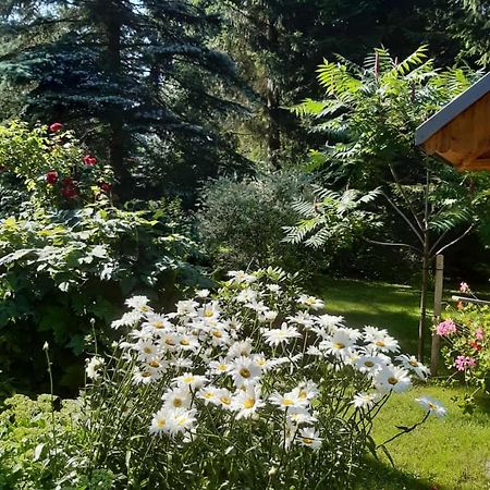 Seidelsferienparadiesgahlenz Exteriör bild